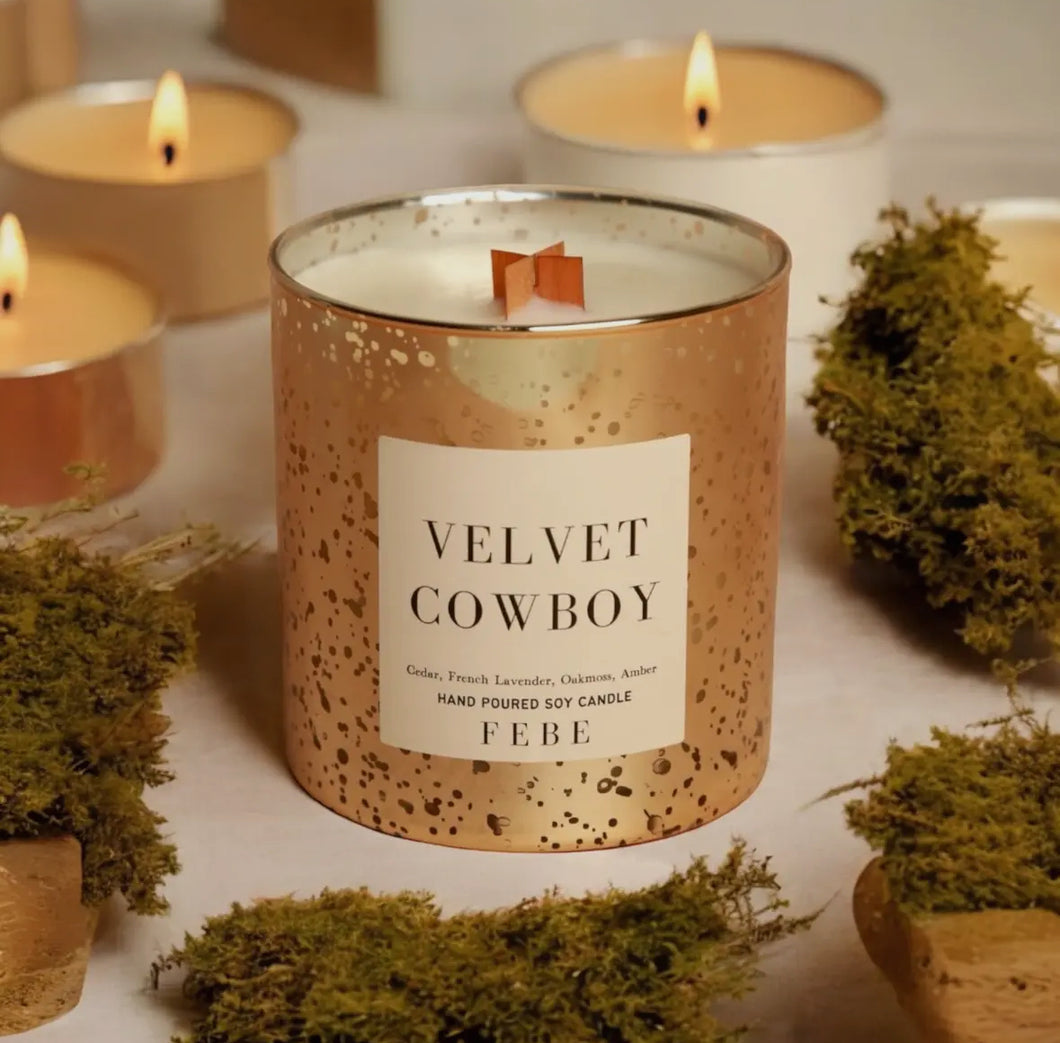 Velvet Cowbody